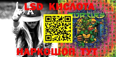 амф Кандалакша