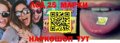 амф Кандалакша