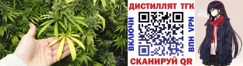 ТГК концентрат  Майкоп 