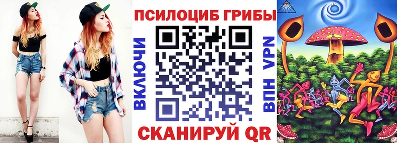 наркотики  блэк спрут ссылки  Галлюциногенные грибы Cubensis  Майкоп 