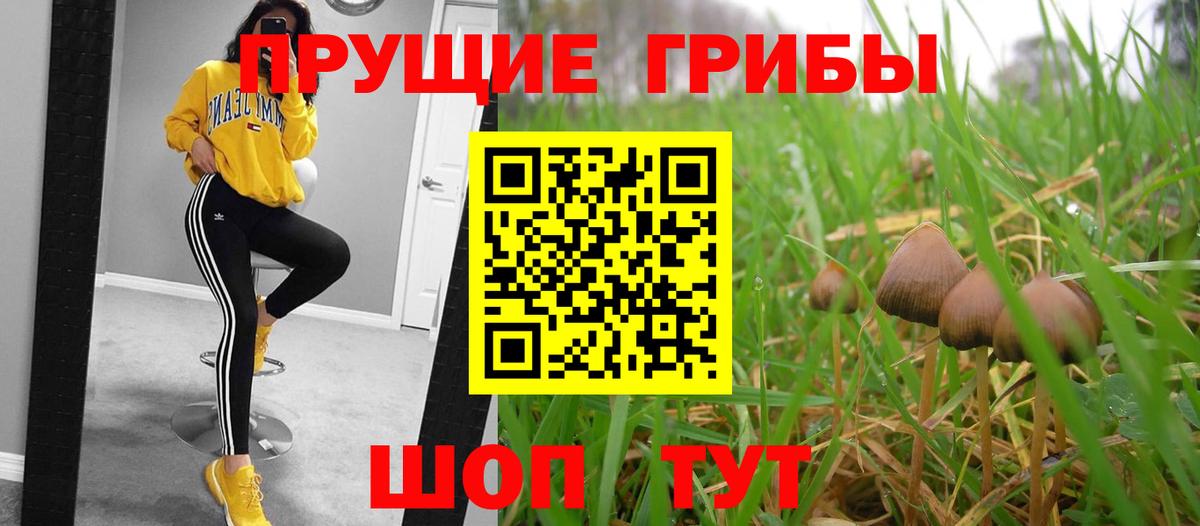 Галлюциногенные грибы Magic Shrooms  Галлюциногенные грибы Psilocybe  Майкоп  Вход с VPN 