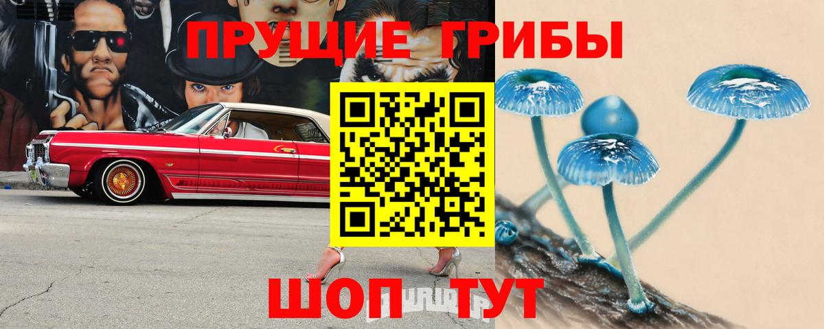 Галлюциногенные грибы прущие грибы Майкоп